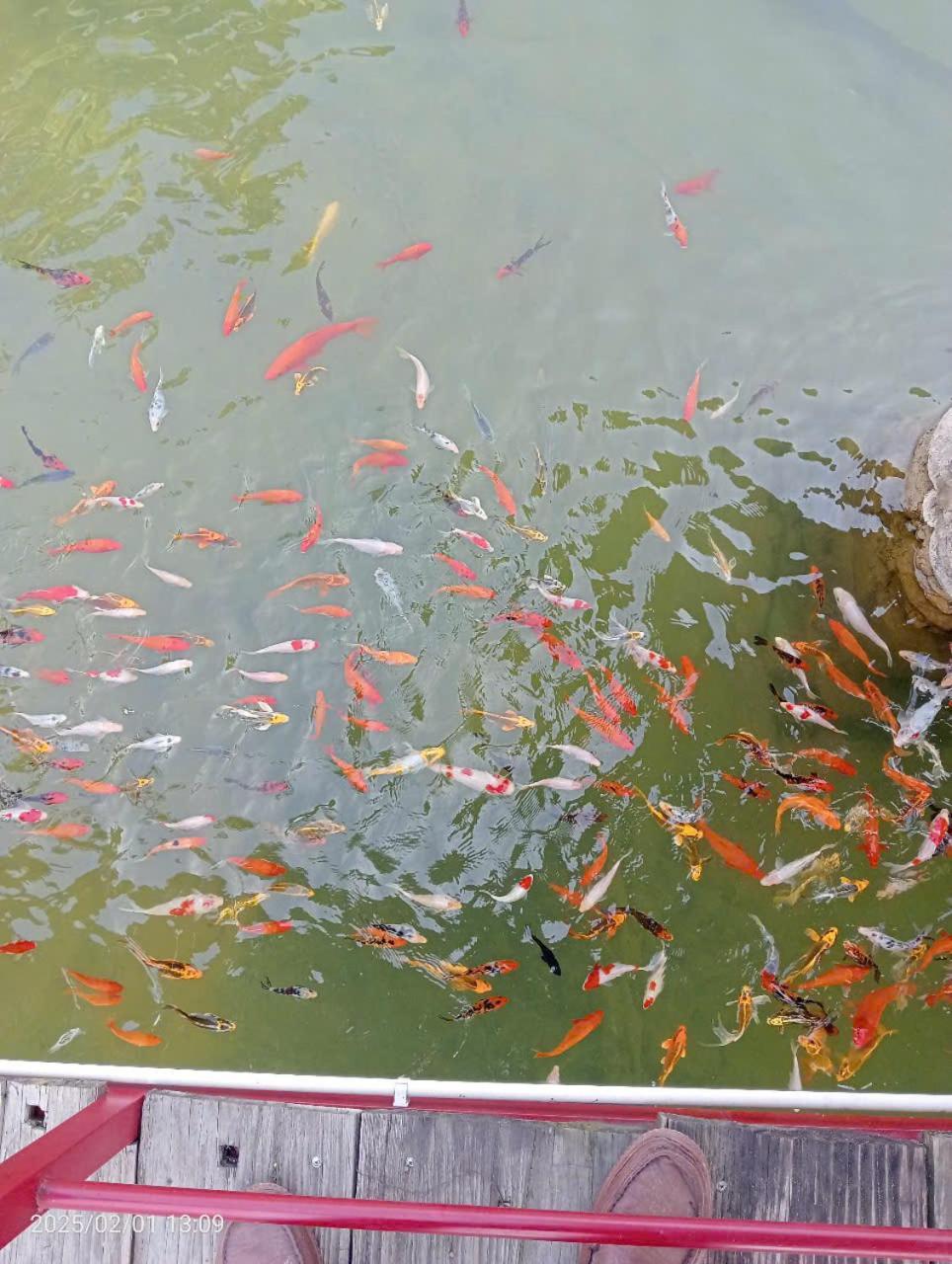 Homestay Suoi Khoang Minh Hang Yen Bai Luaran gambar